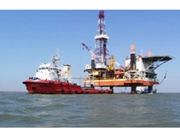 Sealing components for oil and gas extraction